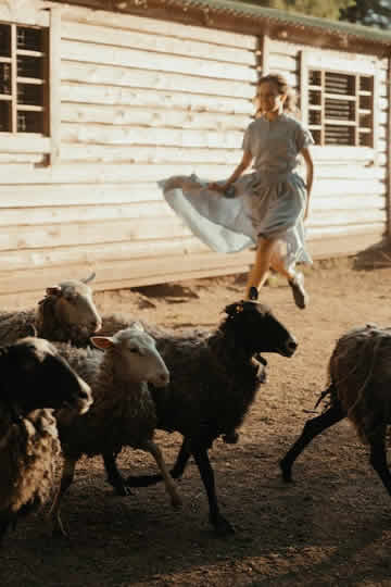 livestock